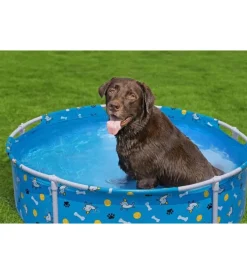 Bestway Piscine|Piscina fuori terra con struttura rotonda gioco per cani "fetchin' fun" blu 122x122x30,5 cm