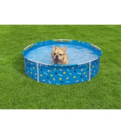 Bestway Piscine|Piscina fuori terra con struttura rotonda gioco per cani 