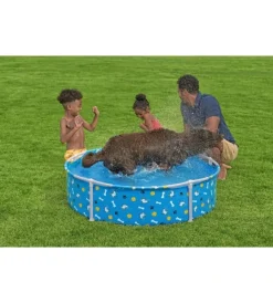 Bestway Piscine|Piscina fuori terra con struttura rotonda gioco per cani 