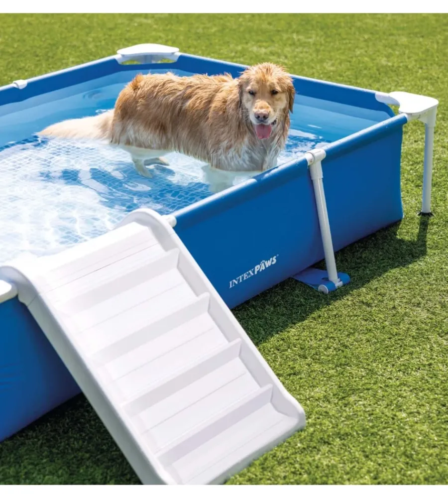 Intex Piscine|Piscina fuori terra rettangolare per cani 229x152x46 cm - cod. 48404np
