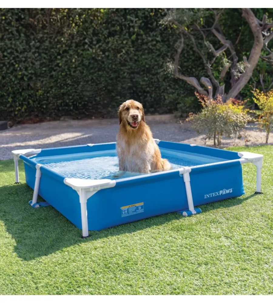 Clearance Piscina quadrata per cani blu 152x152x30 cm - cod. 48402np Piscine