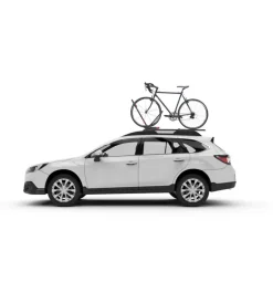 Portabici da tetto 