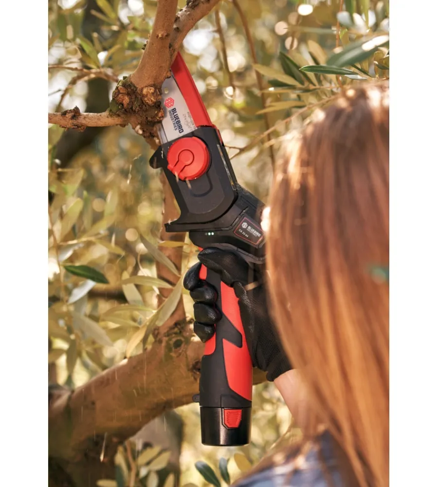 Blue Bird Potatori|Potatore a catena a batteria "cs 22-04" barra 10 cm 10,8v 2,5ah