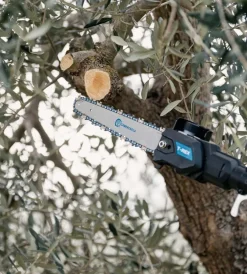 Sale Potatore a catena telescopico a batteria