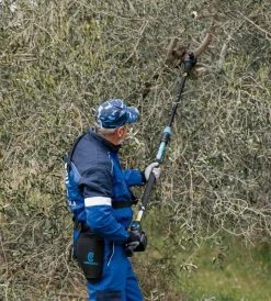 Sale Potatore a catena telescopico a batteria