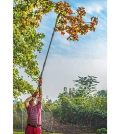 Potatore a catena telescopico elettrico