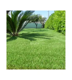 Erba Sintetica- Prato sintetico verde "superior" 30 mm 2x5 m