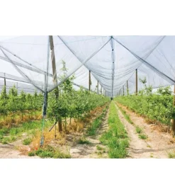 Verdemax Attrezzatura Giardinaggio|Rete antigrandine 2x10 m