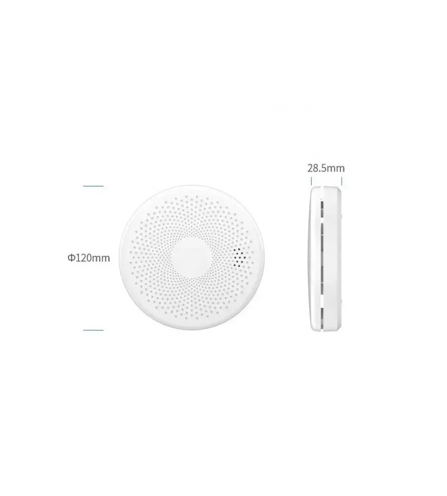 Outlet Rilevatore di monossido di carbonio e fumo "smart tuya" con controllo wi-fi Allarmi