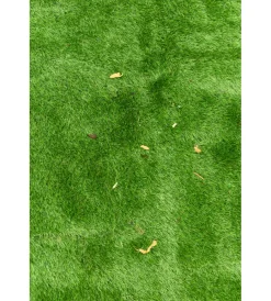 Attrezzatura Giardinaggio-Ryobi Rullo per prato sintetico 