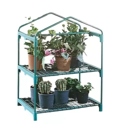 Clearance Serra da giardino "azalea" con 2 ripiani 70x50x92 cm Coltivazione E Cura