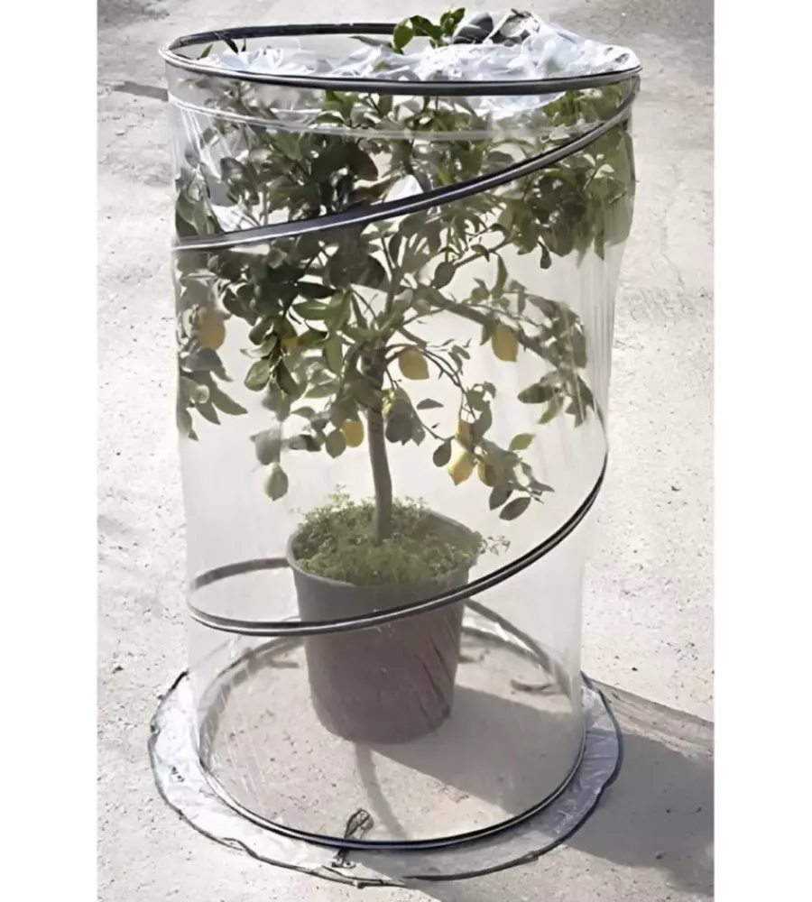 Verdemax Coltivazione E Cura|Serra per pianta "pop up citrus" 90x150 cm