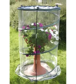 Verdemax Coltivazione E Cura|Serra per pianta "anthurium pop-up" 70x110 cm