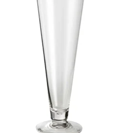 Campeggio-Brunner Set 2 bicchieri per birra "beerglass pilsner" in policarbonato 44 cl