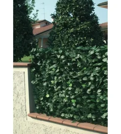 Reti, Recizioni E Cancelli Per Giardino|Siepe artificiale essenza in pvc con foglie lauro 300x150 cm