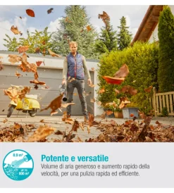 Online Soffiatore a batteria