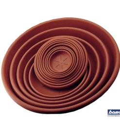 Best Sottovaso rotondo d. 16 terracotta Coltivazione E Cura