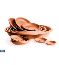 Best Sottovaso rotondo d. 16 terracotta Coltivazione E Cura