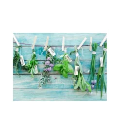 Decorazione Pareti- Sticker per piano cottura "kp herbes" erbe aromatiche - 47x65 cm