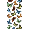 Clearance Stickers s colorful - decoro crearreda. Decorazione Pareti