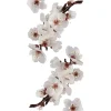 Clearance Stickers s ramo fiorito - decoro crearreda. Decorazione Pareti