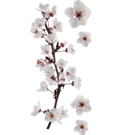 Clearance Stickers s ramo fiorito - decoro crearreda. Decorazione Pareti