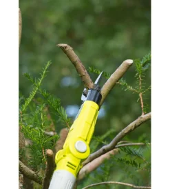 Ryobi Potatori|Svettatoio telescopico a batteria 