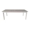 Tavolo da esterno allungabile in alluminio grigio chiaro 216/298x100x75 cm Mobili Da Giardino E Accessori