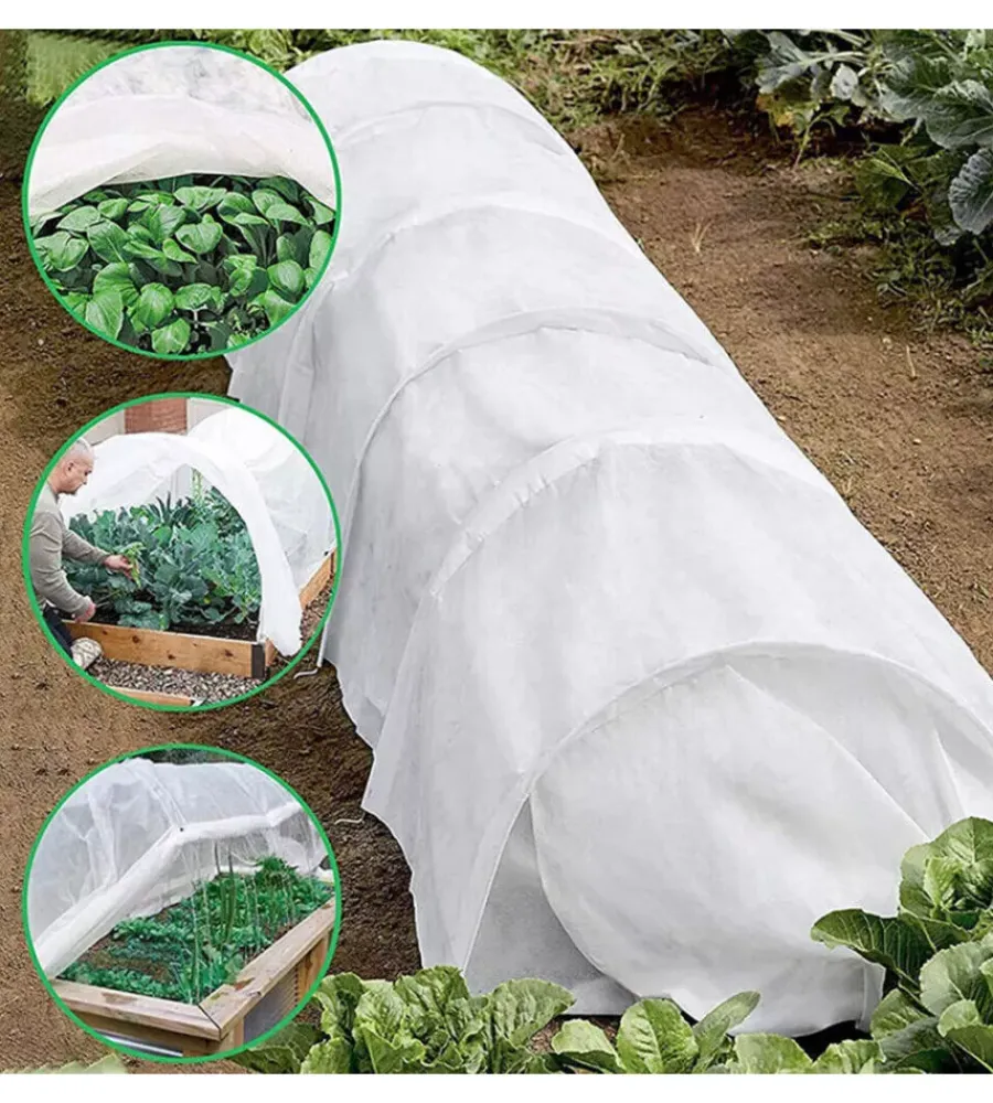 Coltivazione E Cura-EuroGarden Telo di protezione per piante in tnt 1,6x10 mt