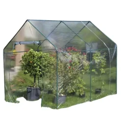 Best Telo di ricambio per serra narciso in plastica trasparente 185x240x205 cm Coltivazione E Cura