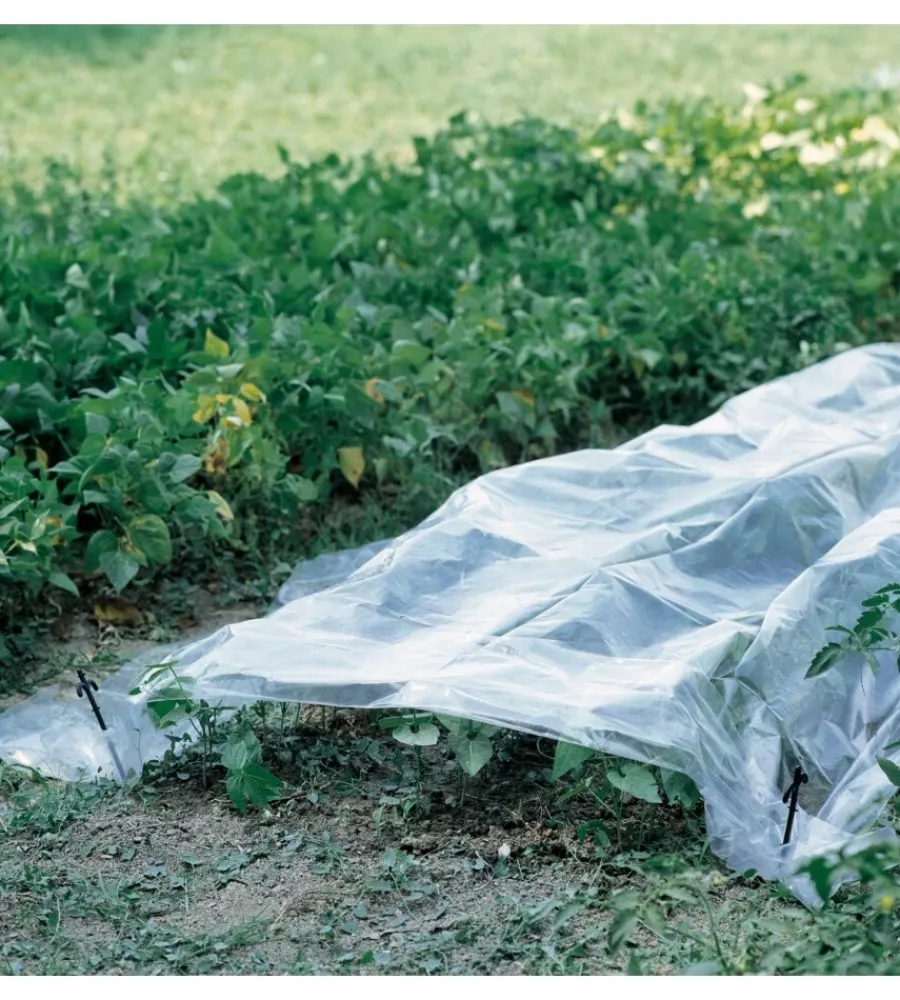 Attrezzatura Giardinaggio-Verdemax Telo forzatura trasparente 2x10m