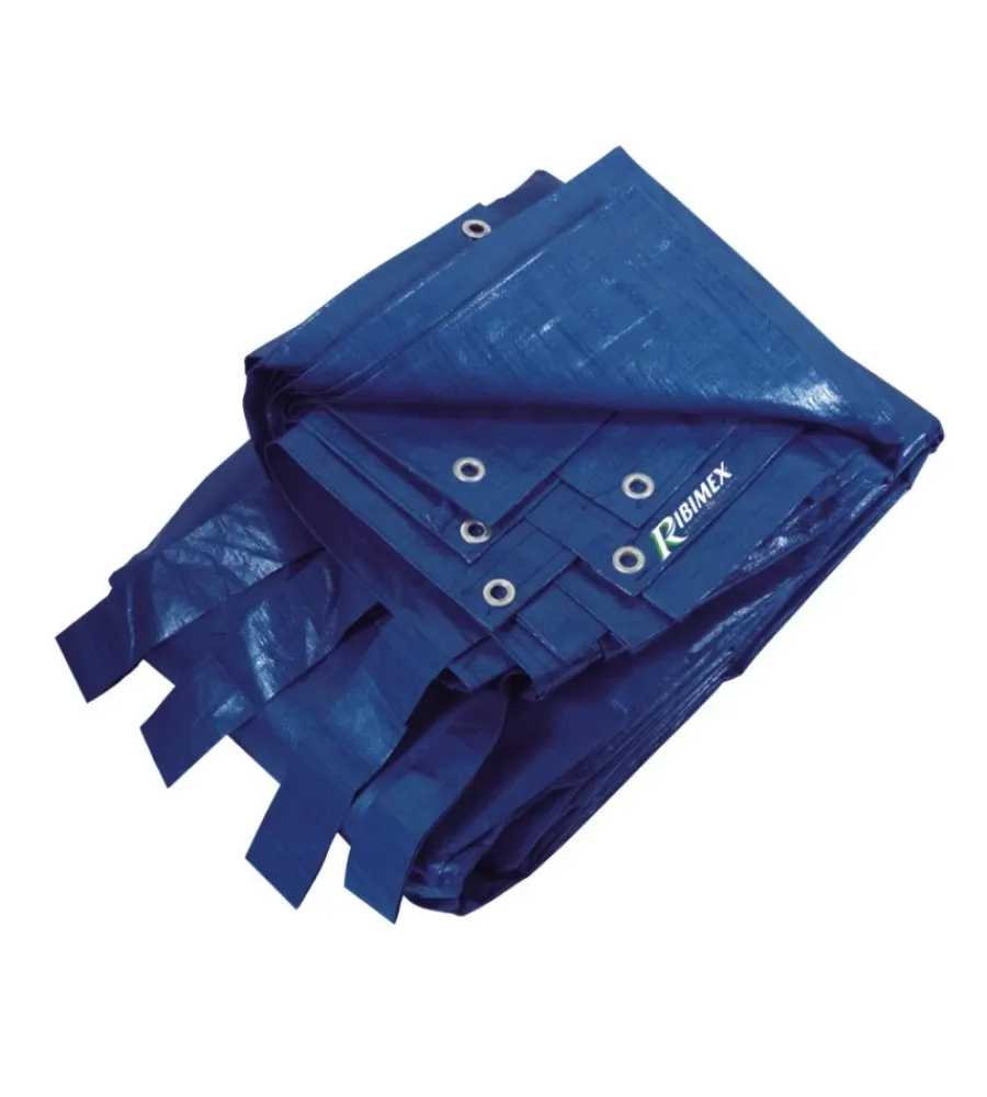 Ribimex Piscine|Telo per piscina rettangolare, 5x8 metri -
