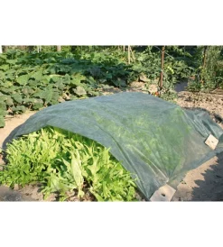 Discount Telo/velo di protezione in tnt verde da 1.6x5 metri - . Coltivazione E Cura