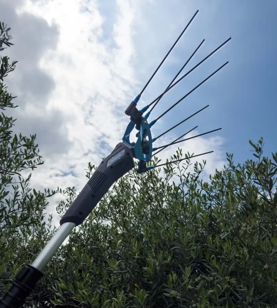 Campagnola Abbacchiatori|Testa abbacchiatore olive elettrico a batteria "master" movimento oscillatorio laterale 12v impugnatura a tre punti, cavo elettrico 13 m e cappellino