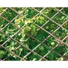 Clearance Traliccio estensibile in salice m1,80x0,60 naturale Coltivazione E Cura
