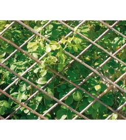 Clearance Traliccio estensibile in salice m1,80x0,60 naturale Coltivazione E Cura