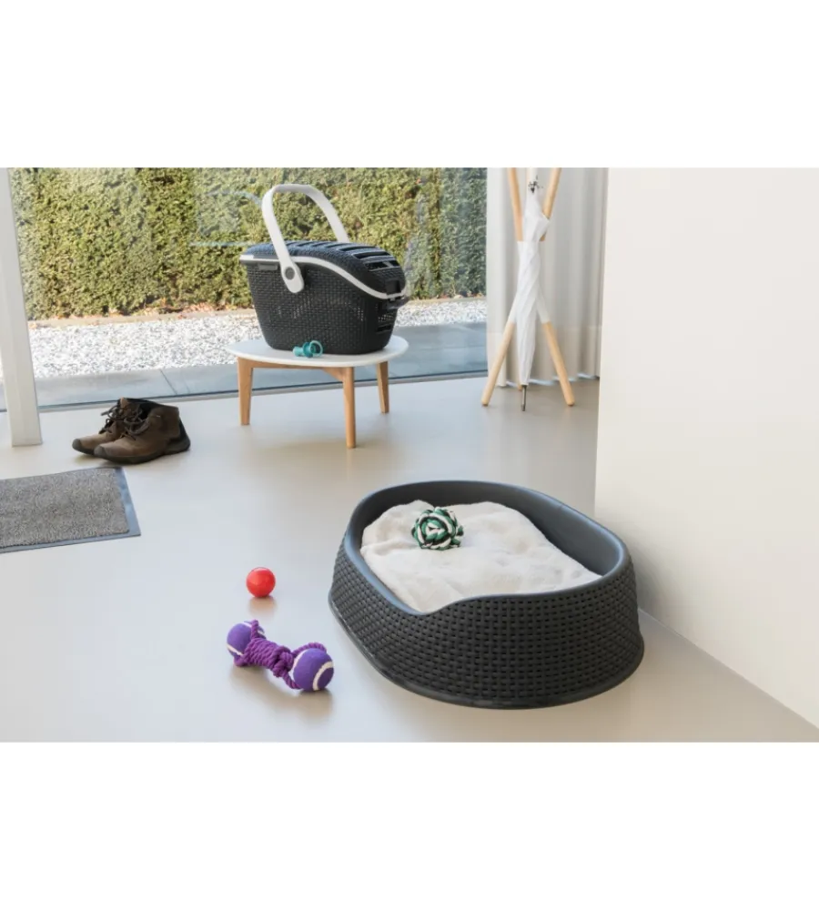 Discount Trasportino per gatti keter "pet carrier" in resina colore antracite, 51x38x33 cm Trasportini Per Gatto