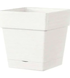 Online Vaso da giardino "casetta save" bianco, 17 cm Coltivazione E Cura