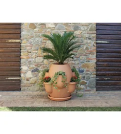 Coltivazione E Cura-Bama Vaso oasi cotto chiaro