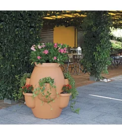 Coltivazione E Cura-Bama Vaso oasi cotto chiaro