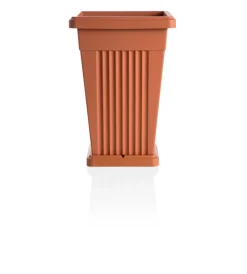 Bama Coltivazione E Cura|Vaso piramide terracotta