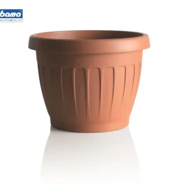 Bama Coltivazione E Cura|Vaso terra d. 70 terracotta