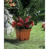 Best Vaso terra quadrato cm. 30 terracotta Coltivazione E Cura