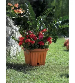 Best Vaso terra quadrato cm. 30 terracotta Coltivazione E Cura