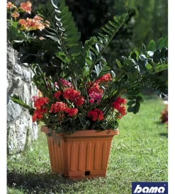 Best Vaso terra quadrato cm. 30 terracotta Coltivazione E Cura