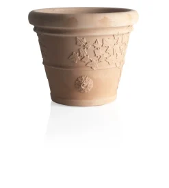 Clearance Vaso vite d. 30 Coltivazione E Cura
