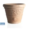 Coltivazione E Cura-Bama Vaso vite d. 40