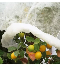 Verdemax Attrezzatura Giardinaggio|Velo protezione tnt pesante 2x10m