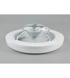 Illuminazione Per Interno- Ventilatore da soffito con led 